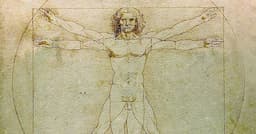 <p>© Léonard de Vinci</p>
