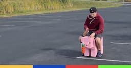 La Hamborghini, le cochon Minecraft IRL qui va à 30 km/h